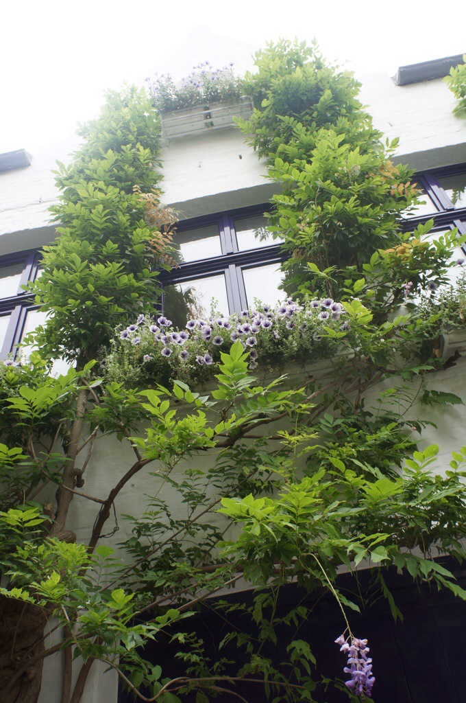 20140717-110648 AM-40008715.jpg