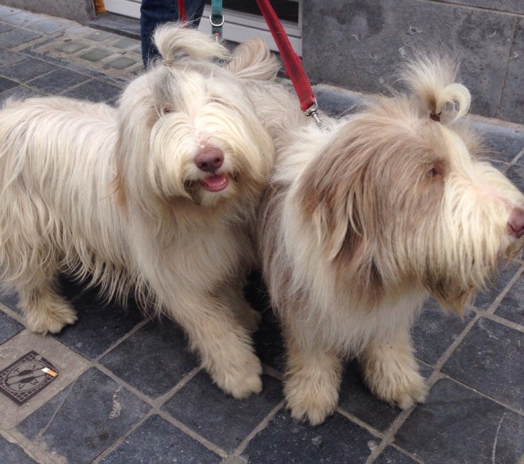 20140717-111302 AM-40382957.jpg