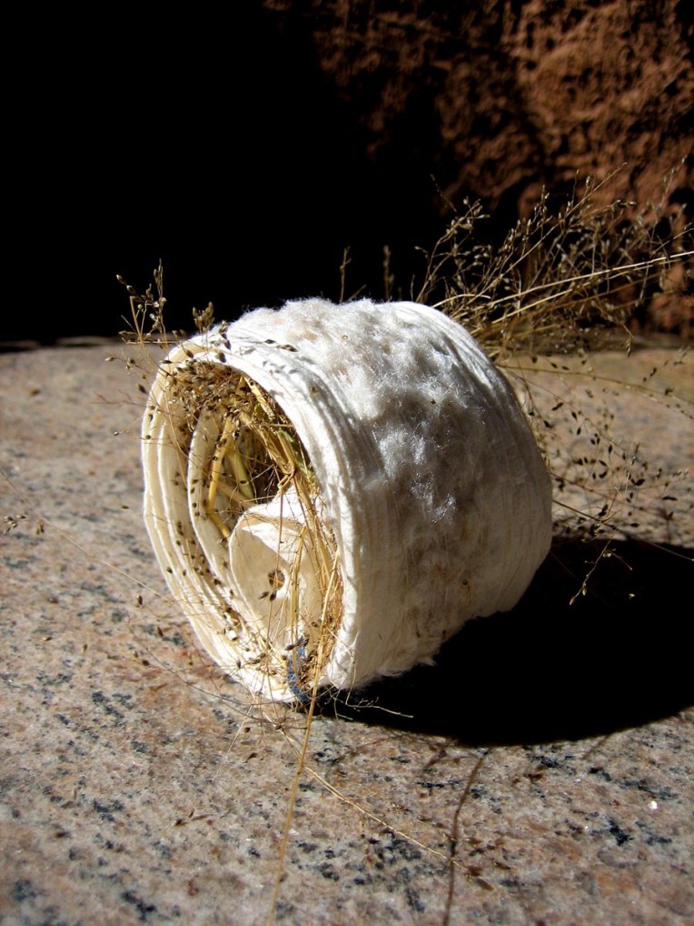 tumblr_lphvfh5N8A1r0k6ypo1_1280