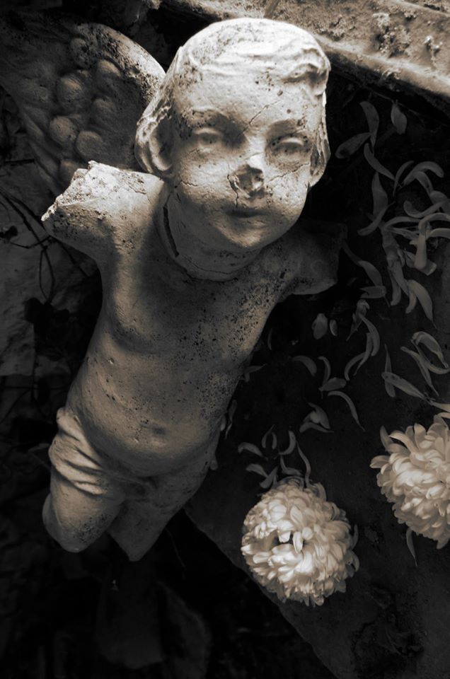 1973640_698997823524177_5695981914553054440_o