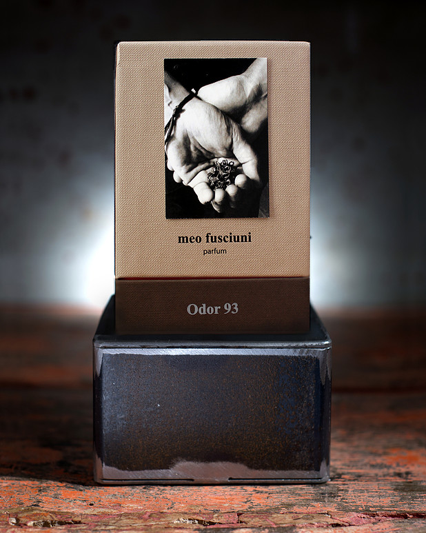 fb1f9b_2c980d92c9194ccb9e7a365681b32bba